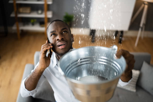 Best Local water damage restoration  in Pahokee, FL