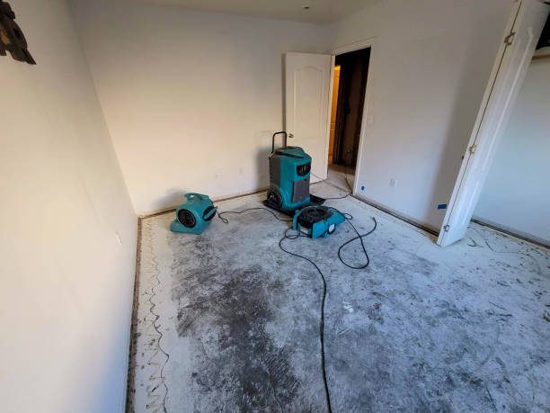 Best Commercial water damage restoration  in Pahokee, FL