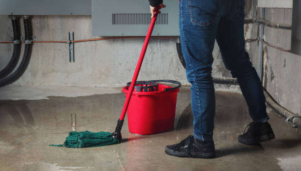 Best 24/7 water damage repair  in Pahokee, FL