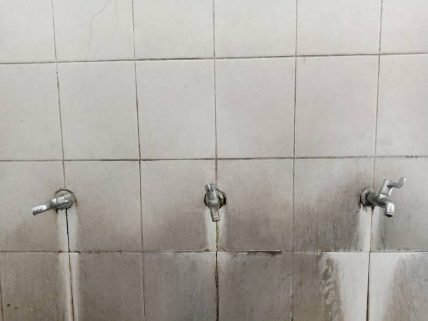 Best Water damage restoration near me  in Pahokee, FL